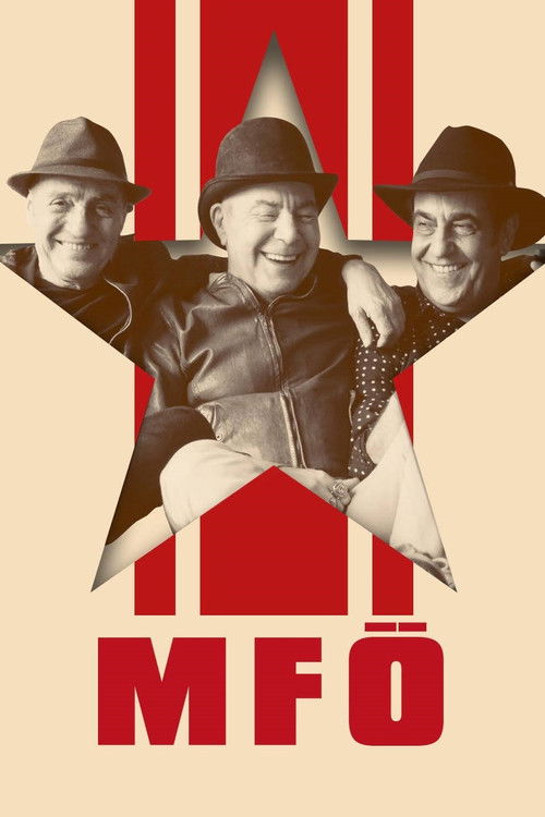 MFÖ Akustik