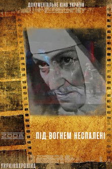 Под огнём несжигания