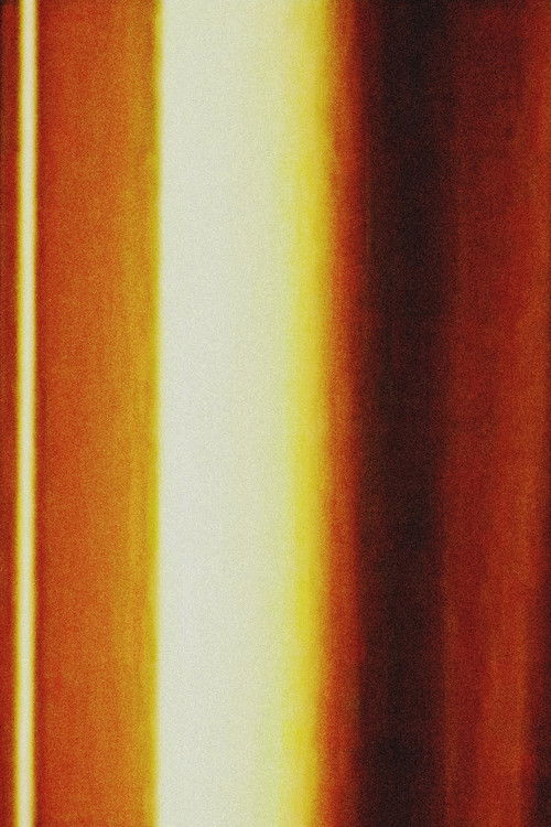 사운드의 형이상학적 채집