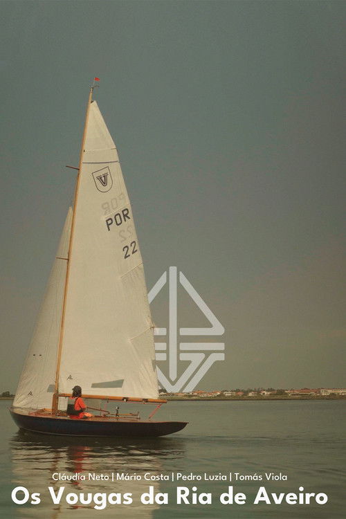 Os Vougas da Ria de Aveiro