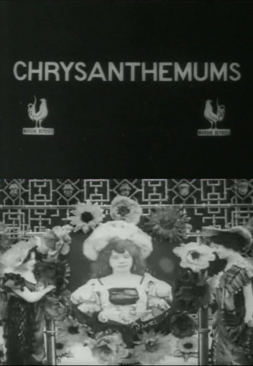 Les Chrysanthèmes