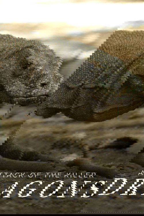 Attack of the Killer Dragons