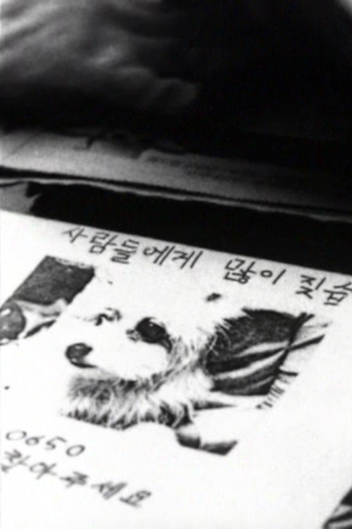 나무들이 봤어