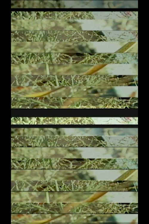 DIGITAL MATERIAL