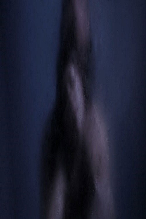 قبلة في الليل