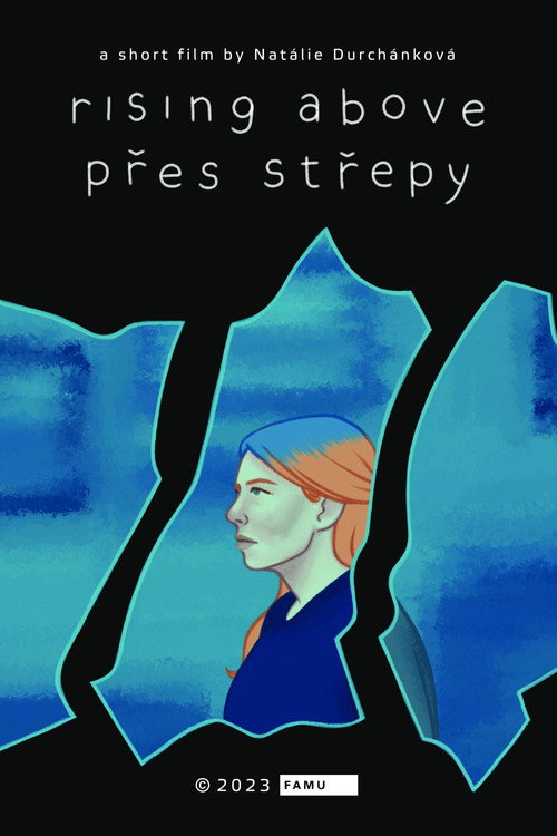 Přes střepy