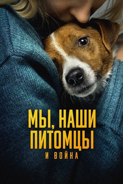 Мы, наши любимцы и война