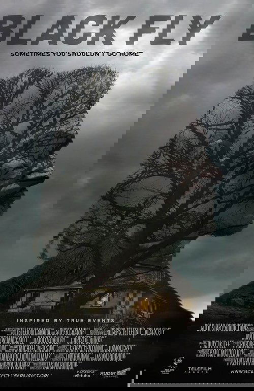 Черные птицы