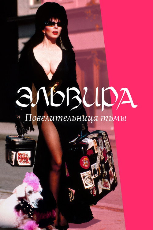 Эльвира: Повелительница тьмы
