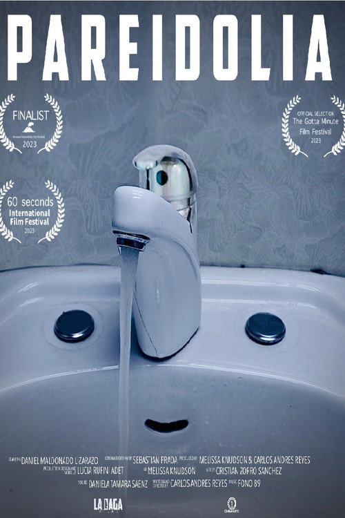Pareidolia