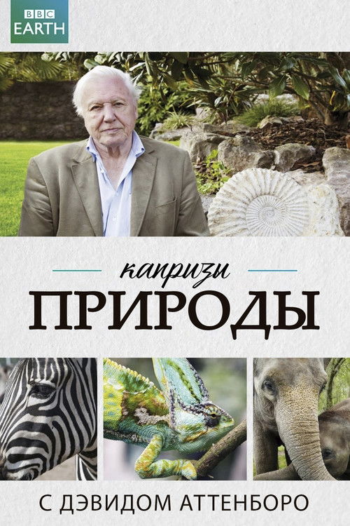 Капризы природы с Дэвидом Аттенборо