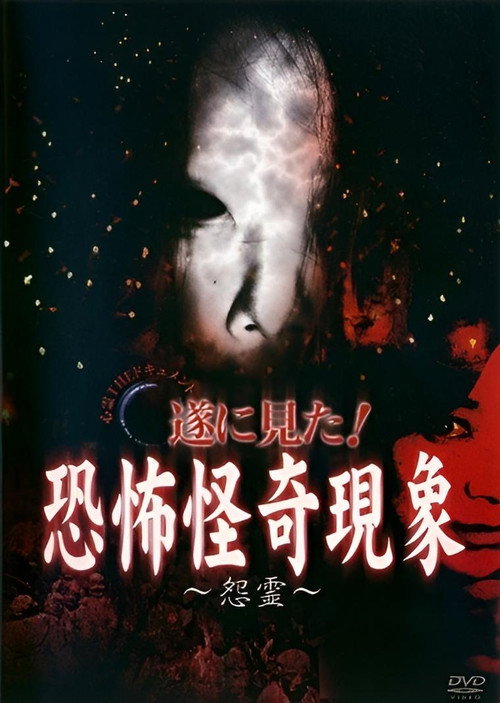 心霊THEドキュメント 遂に見た！恐怖怪奇現象 ～怨霊～